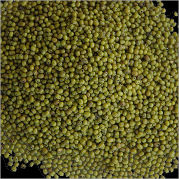 Moong Whole