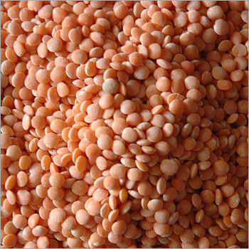 Malka Pulses - Orange Lens, Variable Size | High Protein, Nutritious, Easy Cooking, Fresh, Pure, Low Fat