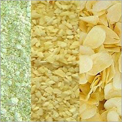 Garlic Dehydrated Powder