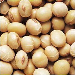 Soya Beans