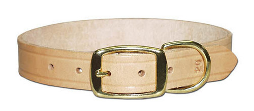 Sporting dog collar