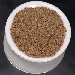 Celery Seed Bsp