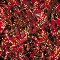 Red Chilli