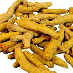 Turmeric Fingers