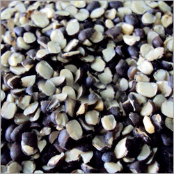 Pulses