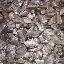 Dry Fish