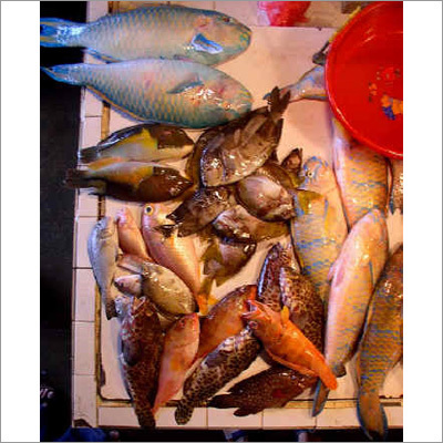 Dry Fish