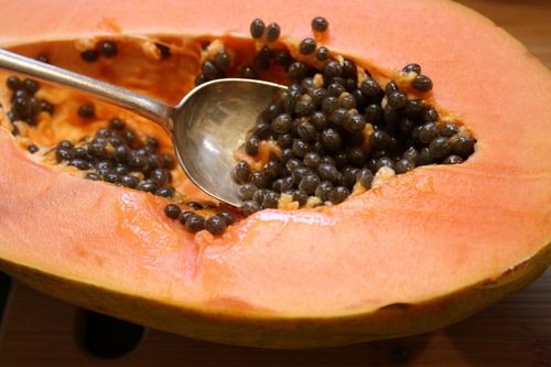 Fruit Papaya Pulp