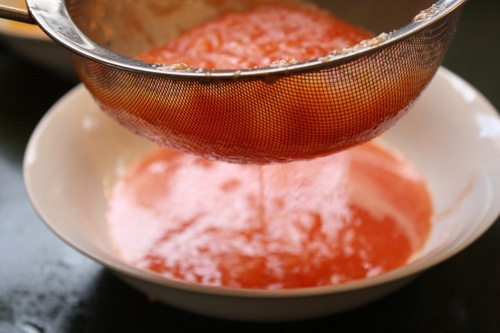 Processed Fruit Papaya Pulp