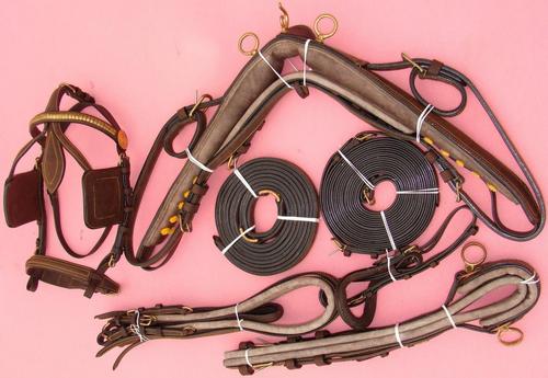 driving harness