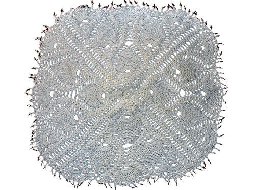 Designer Table Cover