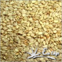 Natural Sesame Seeds