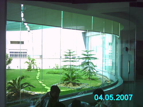 Curve Glass Partition