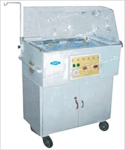 Infant Care Incubator (Economy Series)