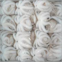 Octopus Frozen