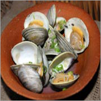 Clams