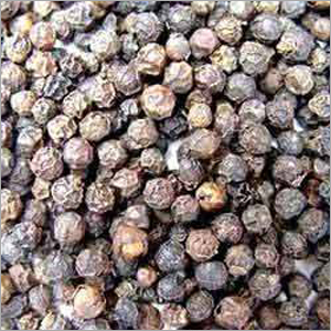 Black Pepper