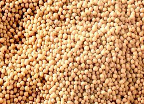 White Mustard Seeds
