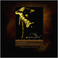 Website Designing Services