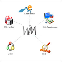MLM Software