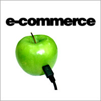 Ecommerce Web Development Services