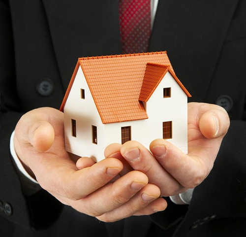 Real Estate Agent