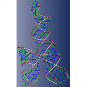 Molecular Biology Study Kits & Products