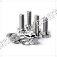 स्टेनलेस स्टील 304 नट