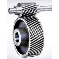 Spur Gear