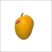Export Grade Alphonso Mango
