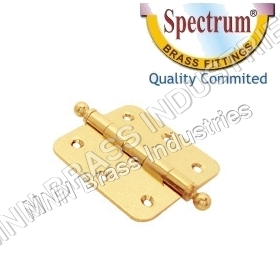 Brass Hinges