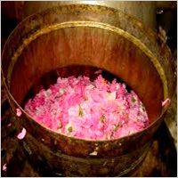 Rose Water