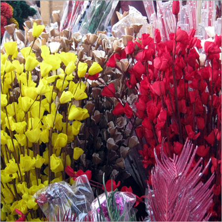 Plant, Flowers & Dried Flowers