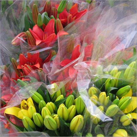Decorative Items