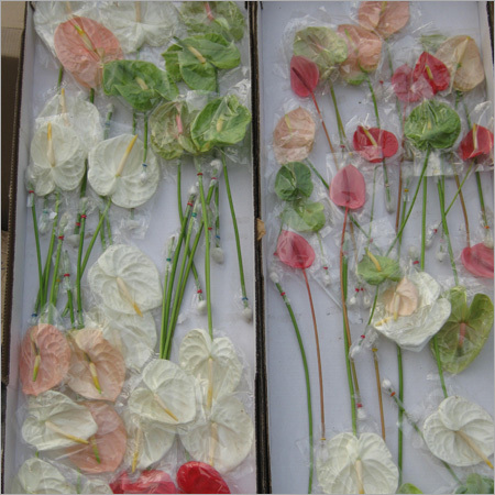 Decorative Items