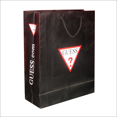 Shopping Paper Packaging Bags