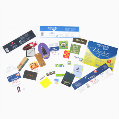 Professional Business Catalog