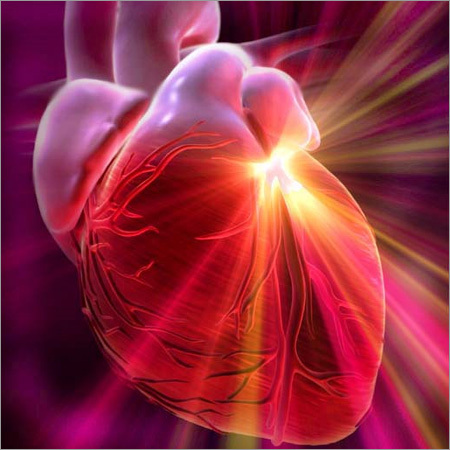 Cardiovascular Disease Treatment Ayurveda - Herbal Medication Lifestyle Management Multi-Modality Therapy | Expert Consultation Heart Health Improved Circulation