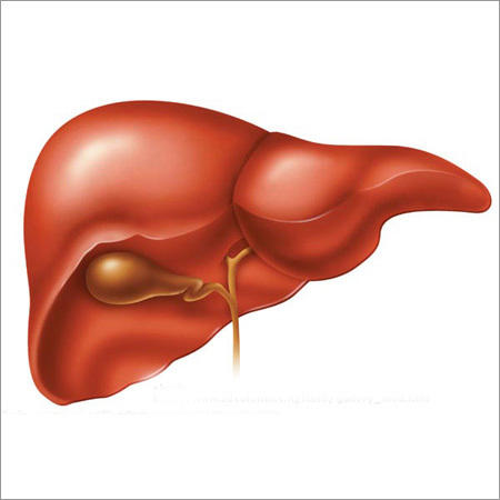 Liver Disease Treatment Ayurveda