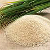Organic Basmati Rice