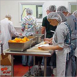 Food Processing Consultants