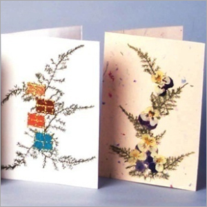 Greeting Cards