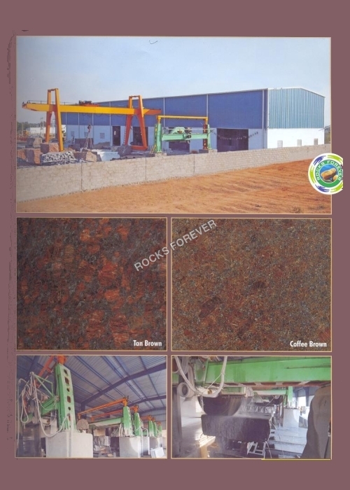 Our Natural Stone Plant