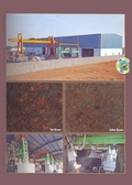 Our Natural Stone Plant