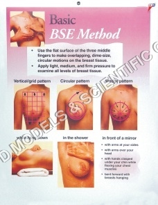 BASIC BSE METHOD 