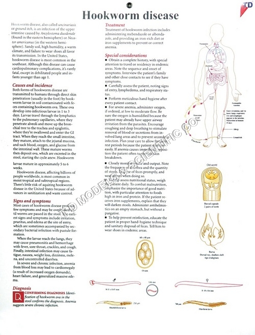 HOOKWORM DISEASE