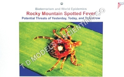 Rocky Mountain - Plastic 20mm Red Model | High Accuracy, Educational Tool, Collectible, Scientific Study