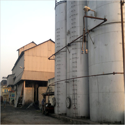 Sesame Oil Plant