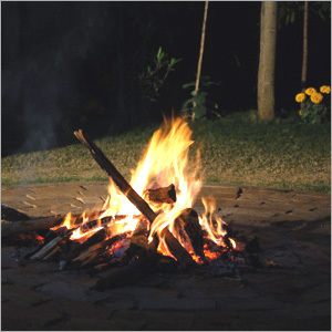 Bon Fire