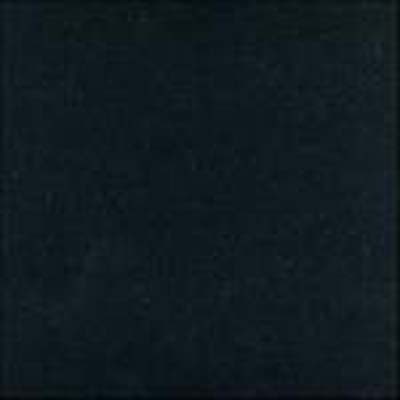 Absolute Black Granite